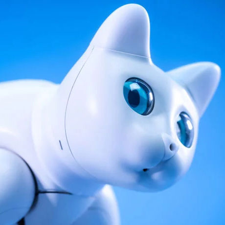 MarsCat Bionic Cat Robot