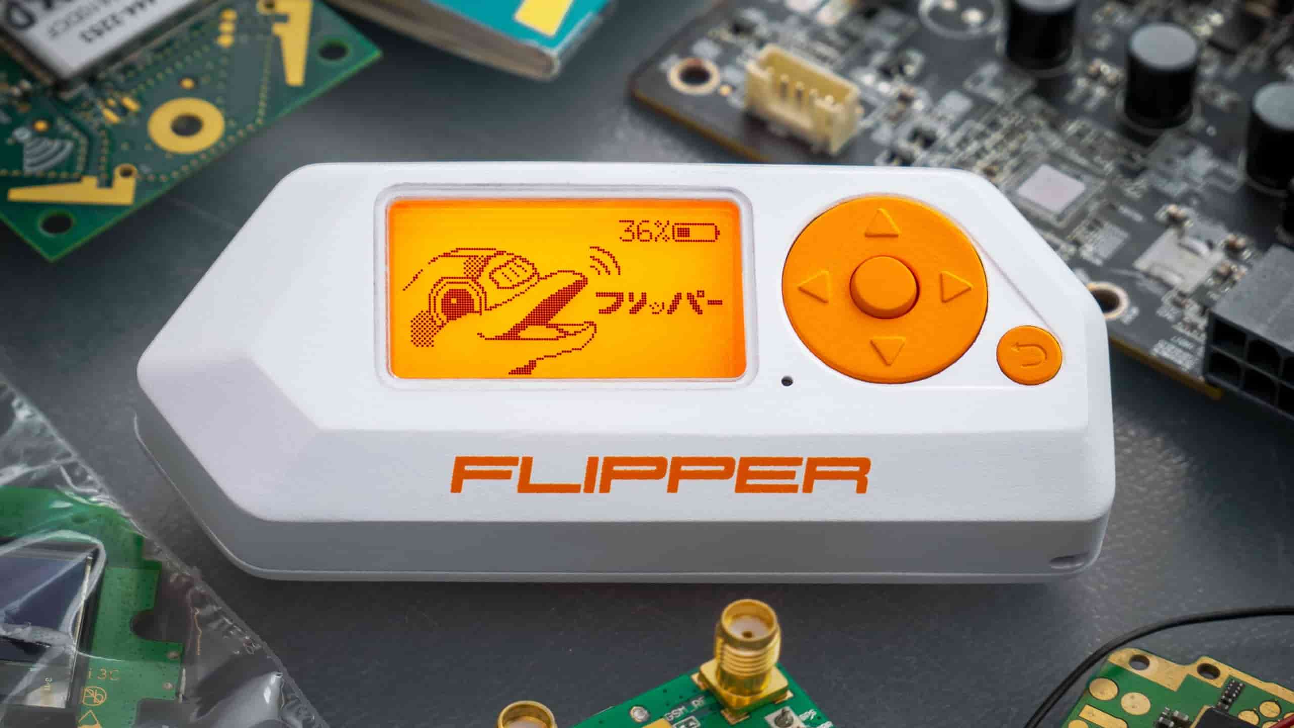 flipper-tooth-cost-pros-and-cons-explained