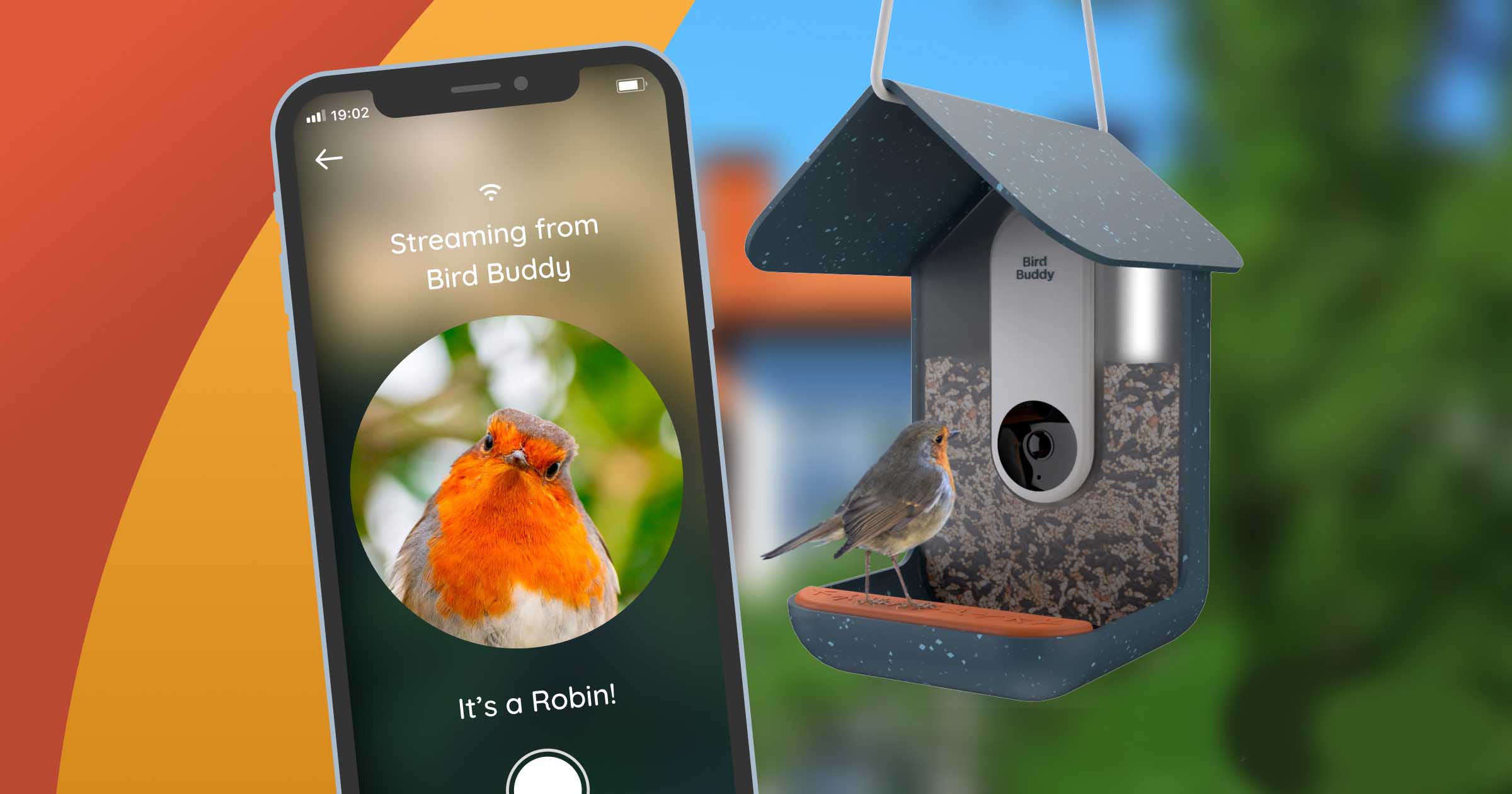 Bird Buddy - Bird Feeder Camera - Tech I Want
