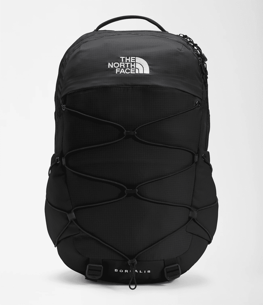 The NorthFace Borealis Backpack
