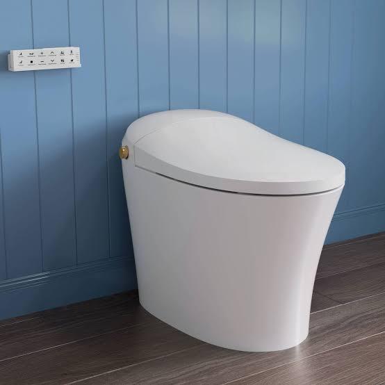 DOZTI Smart Bidet Toilet, THE BEST SMART TOILETS